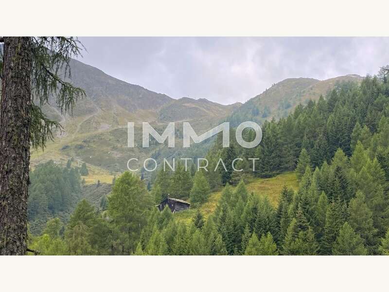 Waldparzellen Kals - Bild 1 von 8 Landwirtschaft in 9981 - 1