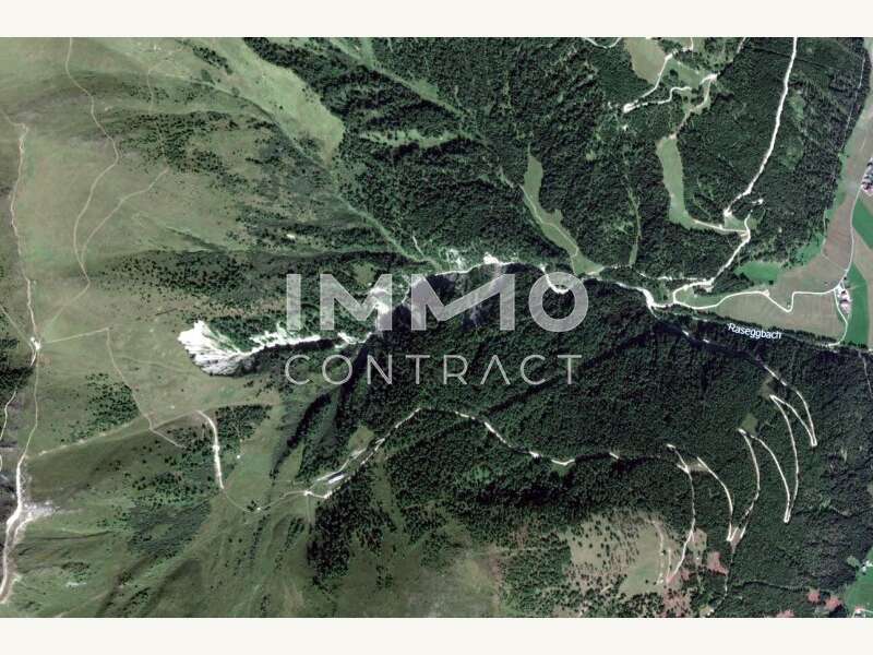 Satellitenaufnahme Waldparzelle - Bild 4 von 8 Landwirtschaft in 9981 - 4