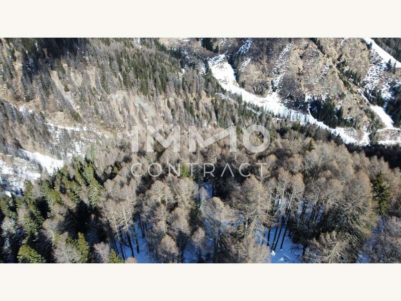 Waldparzellen Kals am Großglockner - Bild 7 von 8 Landwirtschaft in 9981 - 7