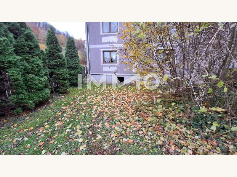 Wohn und Geschäftshaus Kirchberg an der Pielach - Bild 5 von 24 Wohn und Geschäftshaus in 3204 - 5