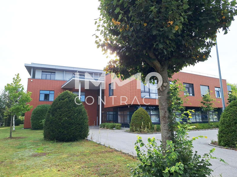 20250828 084753 - Bild 5 von 12 Halle in 5280 - 5