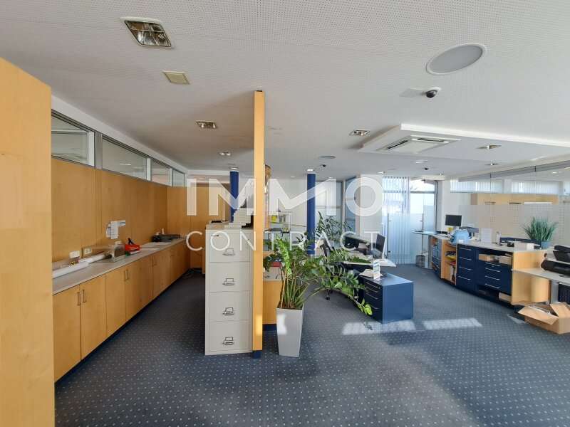 Büro/Praxis in 4481  - 3
