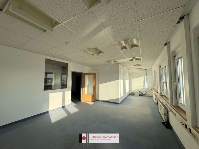 Büro/Praxis in 2351  - 9