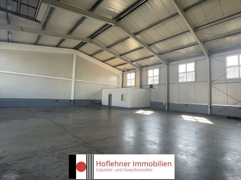 Halle in 2201  - 1