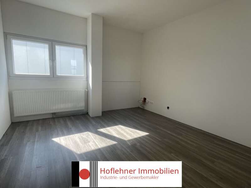 Halle in 2201  - 4