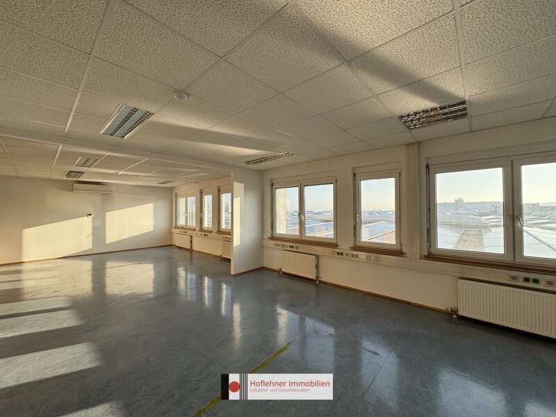 Büro/Praxis in 2351  - 1