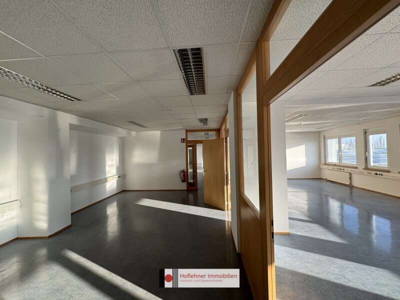 Büro/Praxis in 2351  - 4