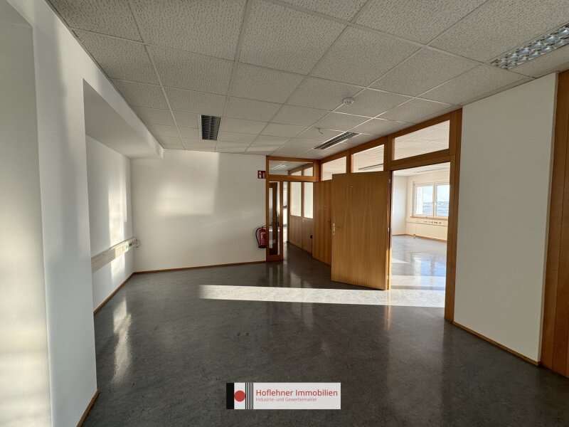 Büro/Praxis in 2351  - 5