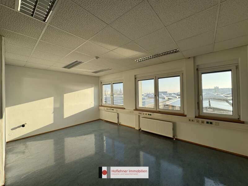 Büro/Praxis in 2351  - 10