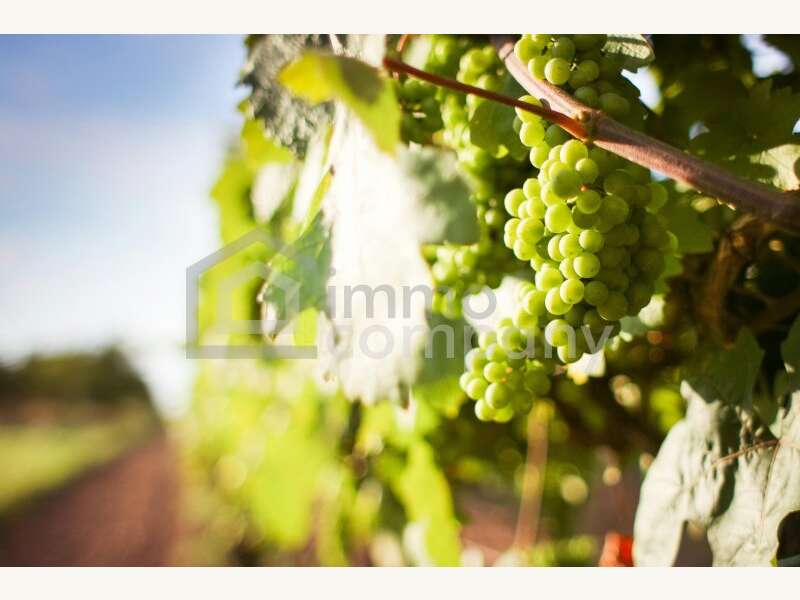 Landwirtschaft in 1100  - 1