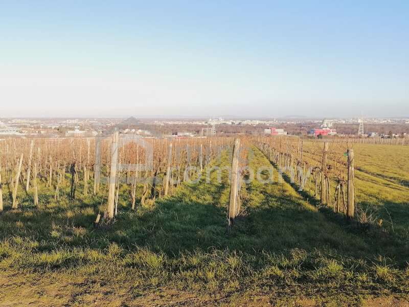 Landwirtschaft in 1100  - 2