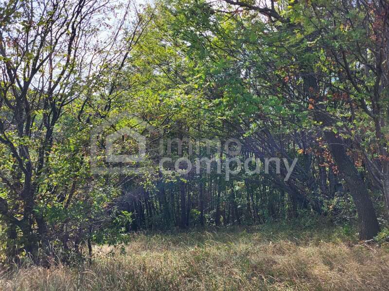 Landwirtschaft Schwarzenbach - Bild 2 von 8 Landwirtschaft in 2803 - 2