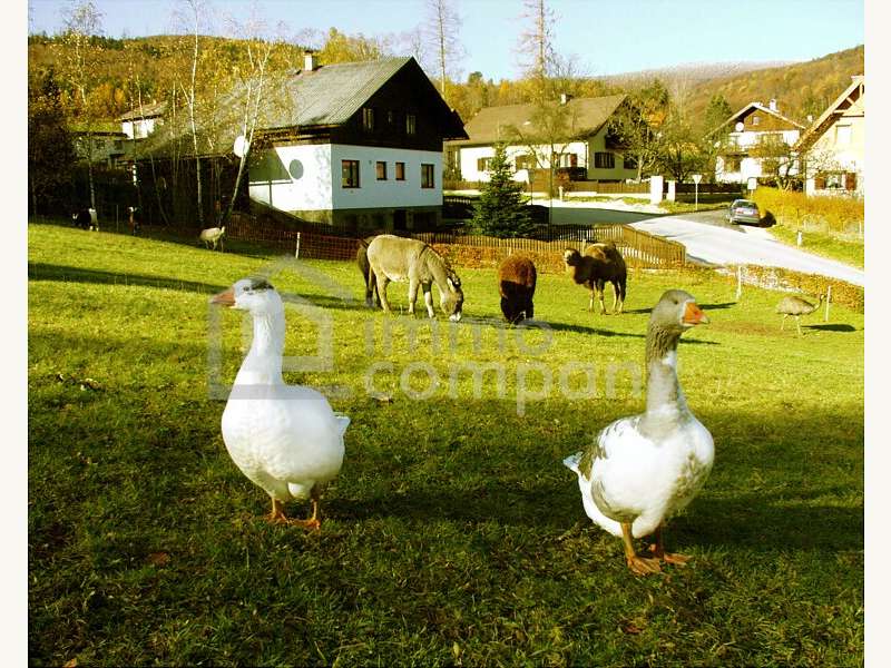 Gastgewerbe in 2572  - 2