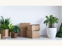 Mehrfamilienhaus in Fulpmes