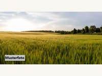 Halle in Muthmannsdorf angrenzend an Dreistetten