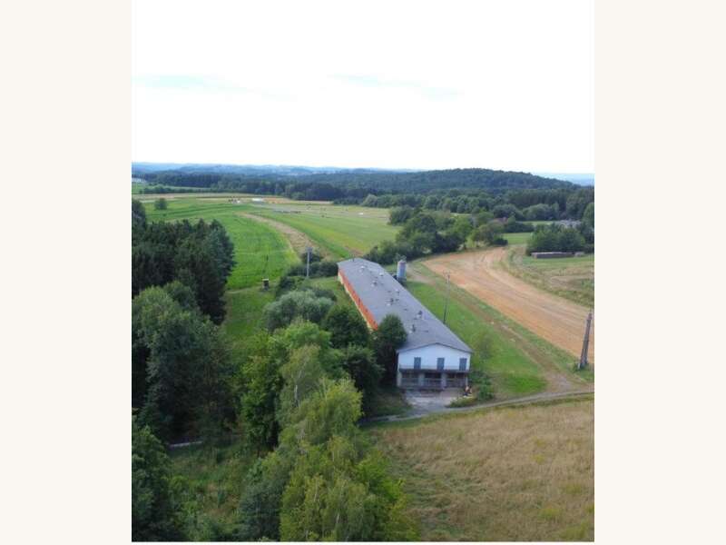 Lager mit Freifläche in 7552  - 3