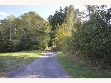 Forstwirtschaft in Bergwerk