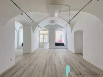 Büro/Praxis in 1010 Wien