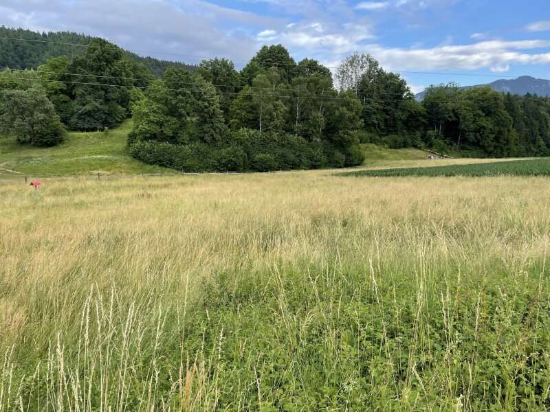 Bauernhof Möchling - Bild 4 von 19 Bauernhof in 9132 - 4